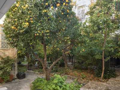 ...nespole e mandarini